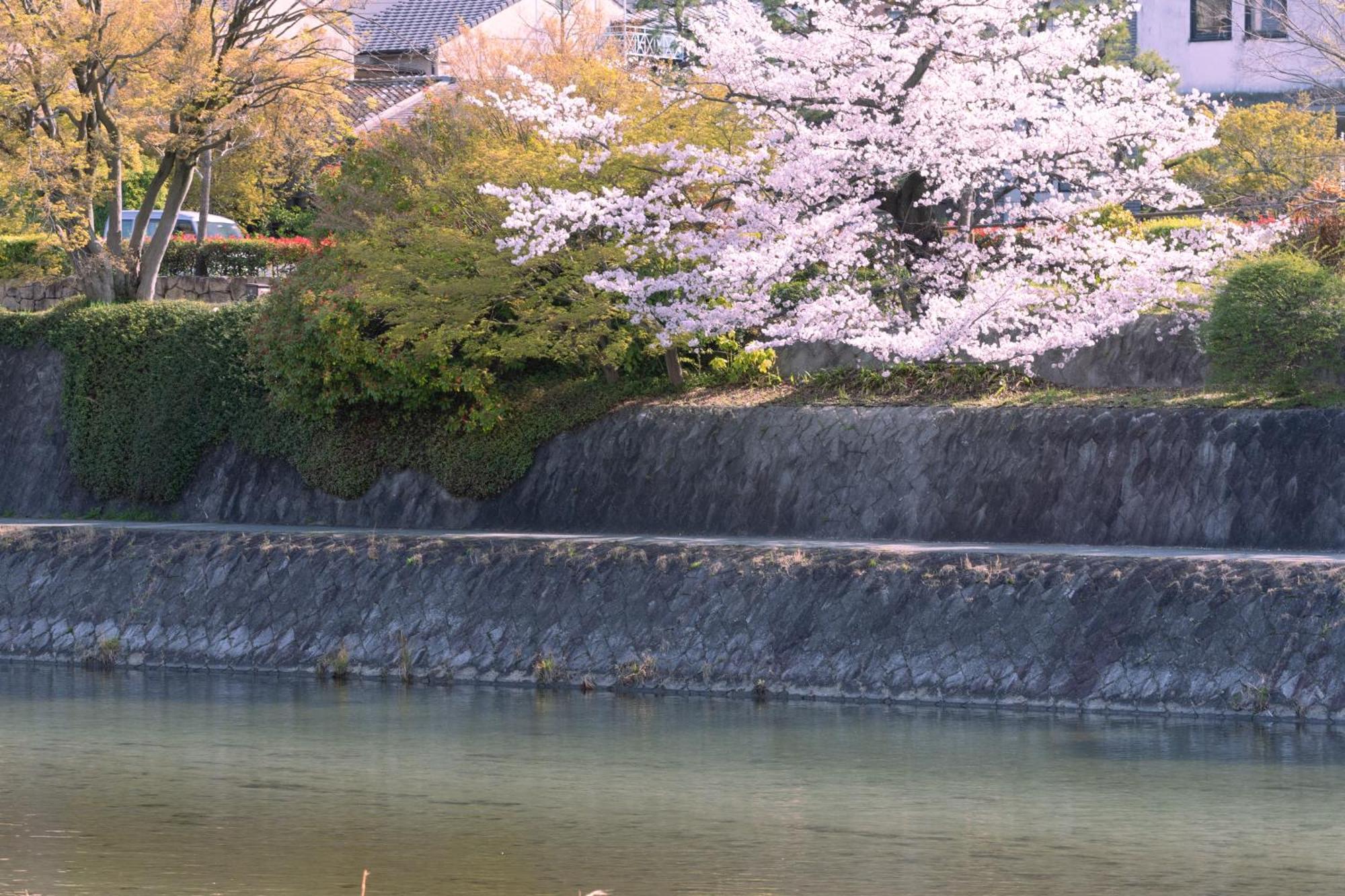 Omo5 Kyoto Sanjo By Hoshino Resorts ภายนอก รูปภาพ
