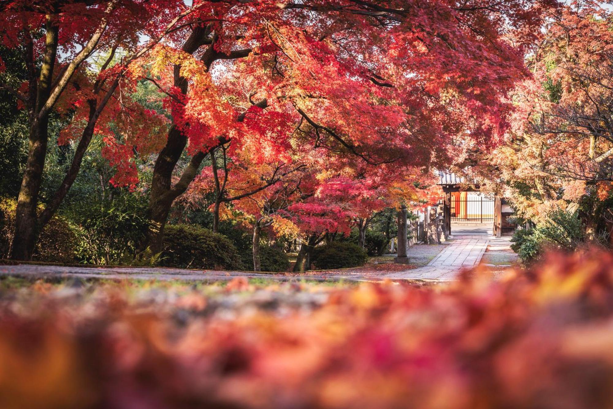 Omo5 Kyoto Sanjo By Hoshino Resorts ภายนอก รูปภาพ