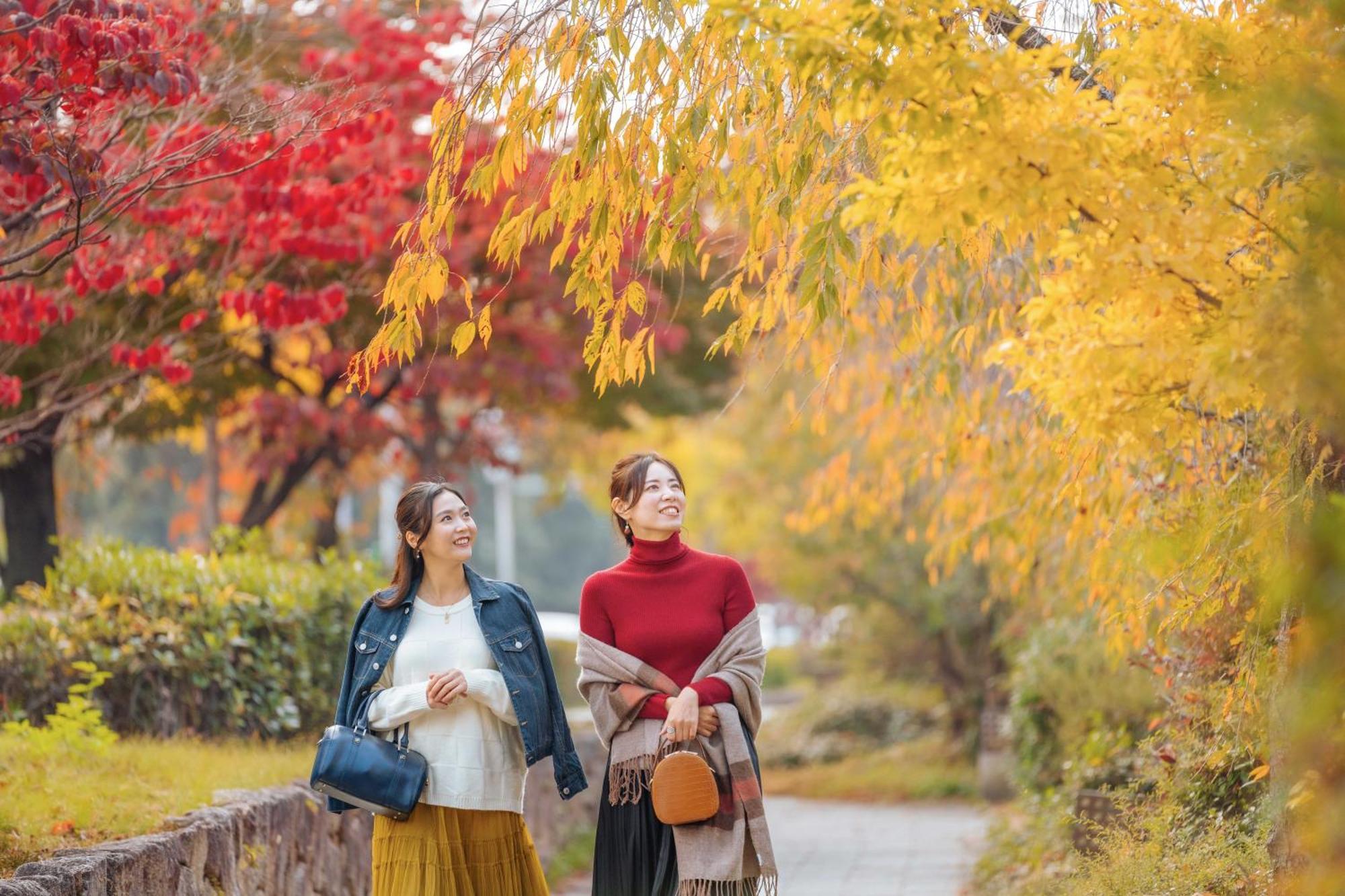 Omo5 Kyoto Sanjo By Hoshino Resorts ภายนอก รูปภาพ